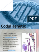 Codul Genetic,Proiect Lupanciuc Mihaela 1114