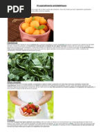 4 Groups Sanguine 4 Regimes Pdf Reader