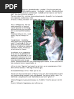 Very Happy/Sad Dog Love Story