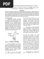 Download Isolation and Characterization of Nucleic Acid by Isabella Guce SN203962911 doc pdf