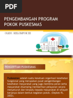 Download Pengembangan Program Pokok Puskesmas by Safri Ijall SN203968182 doc pdf