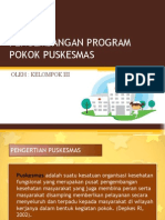 Pengembangan Program Pokok Puskesmas