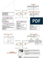 Mapas III Corte