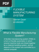 Flexible Manufacturing System (FMS)