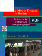 Foot and Mouth Disease in Bovine: DR - Jibachha Sah VHRTC (P) LTD Lankupul, Nrayangarh