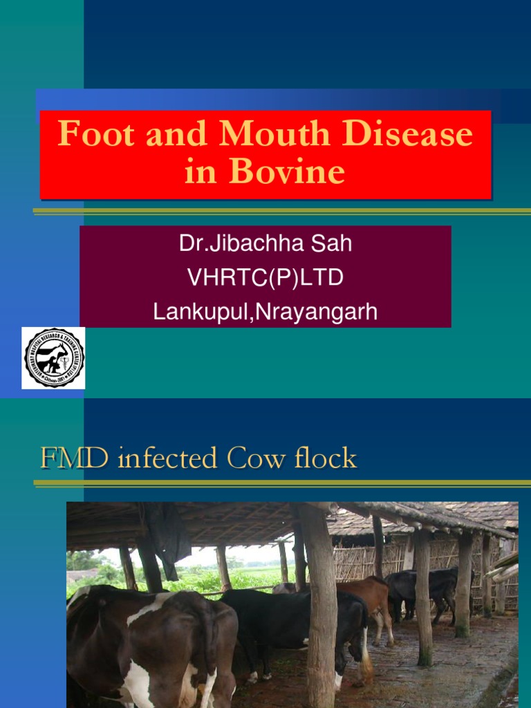 FMD in Bovine: Diagnosis & Control | PDF | Animal Diseases | Clinical ...