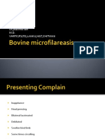 Bovine Microfilareasis