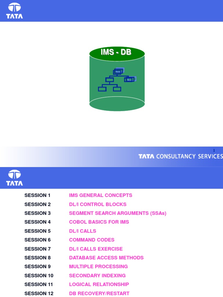IMS Database Concepts and COBOL Integration | PDF | Database Index ...