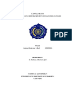 Case Cholelitiasis Nisa