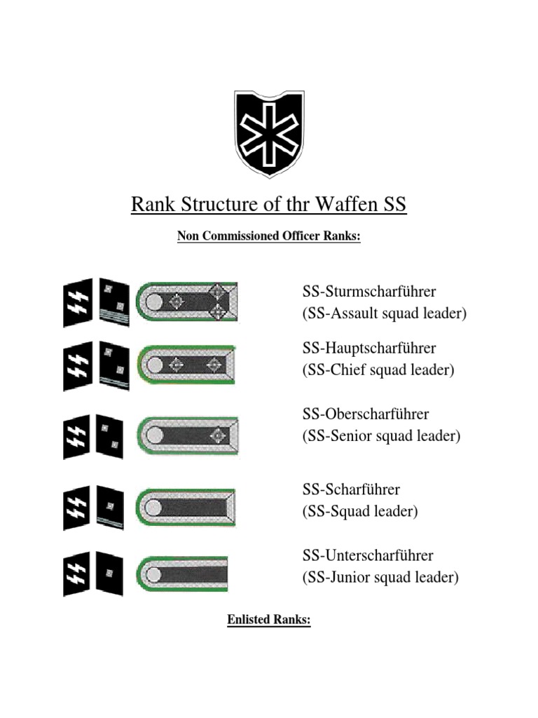 Waffen SS Rank Structure Guide | PDF