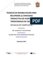 Tecnicas de Rehabilitación de Huertas de Cacao Improductivas