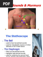 heart sounds and murmurs