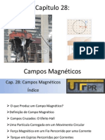 Cap 28 - Campos Magneticos