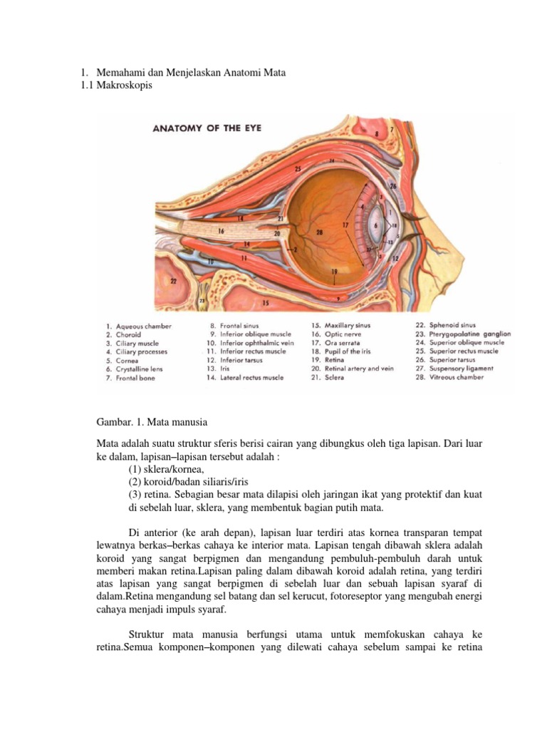Mata Merah Pdf