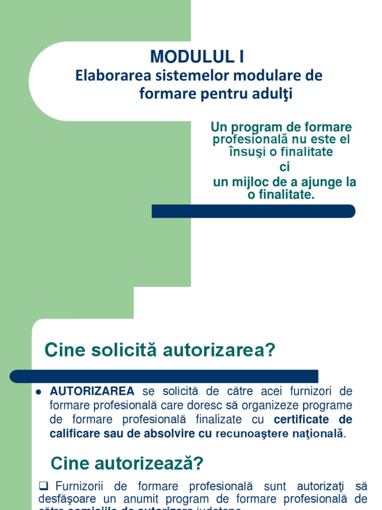 Program de Formare Profesională | PDF