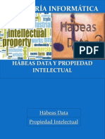 Habeas Data y Propiedad Intelectual 5to a b 2013 2014