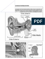 Base Anatomo Fisiológica del Oido.docx