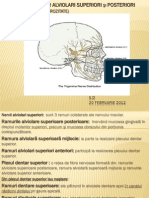 82990900 Anestezia N Alviolari Superiori Si Posteriori La Tuberuzitate