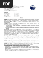 Geografia Economica - Ensayo