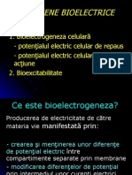 bioelectricitate