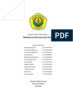 Laporan Relining Dan Rebasing