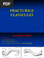 Acturile Claviculei