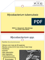 2013-2 FTC 4 - Mycobacterium e Coloração de Gram