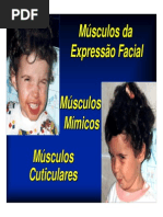 mod3_musculos_mimicos.pdf