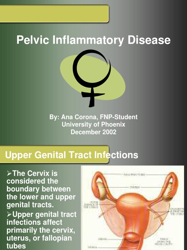 Pelvic Inflammatory Disease Medicine Medical Specialties