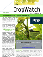 Adelaide Hills Crop Watch 240909