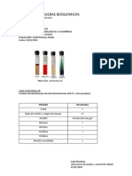 Pruebas Bioquimicas