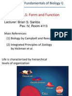 Lecture 1 - Animal Cell Types and Tissues