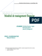 Proiect Modelul de MG Financ
