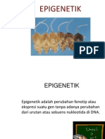 Presentasi Epigenetik