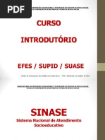 Lei nº 12.594 RESUMO