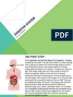 Science Digestive System