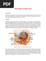 Toaz - Info Kunyaza or Kakyabali PR | PDF | Clitoris | Orgasm
