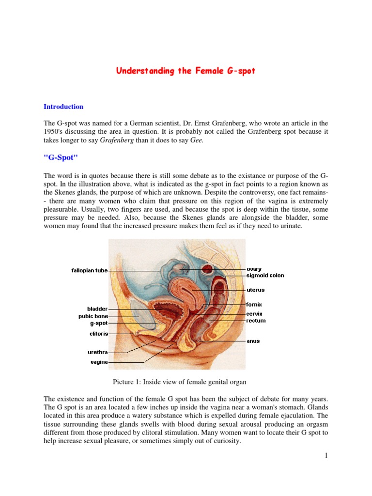 Understanding The Female G Spot | PDF | Vagina | Mammalian Sexuality