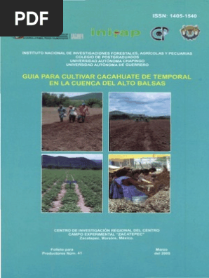 Cultivo De Cacahuatespdf Siembra Fertilizante - 