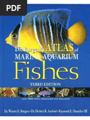 洋書　Dr. Burgess's Atlas of 海水魚　大型本 洋書 Dr. Burgess's Atlas of 海水魚 大型本