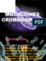 Mutaciones Cromosomicas