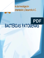 T2 Bacterias Patogenas