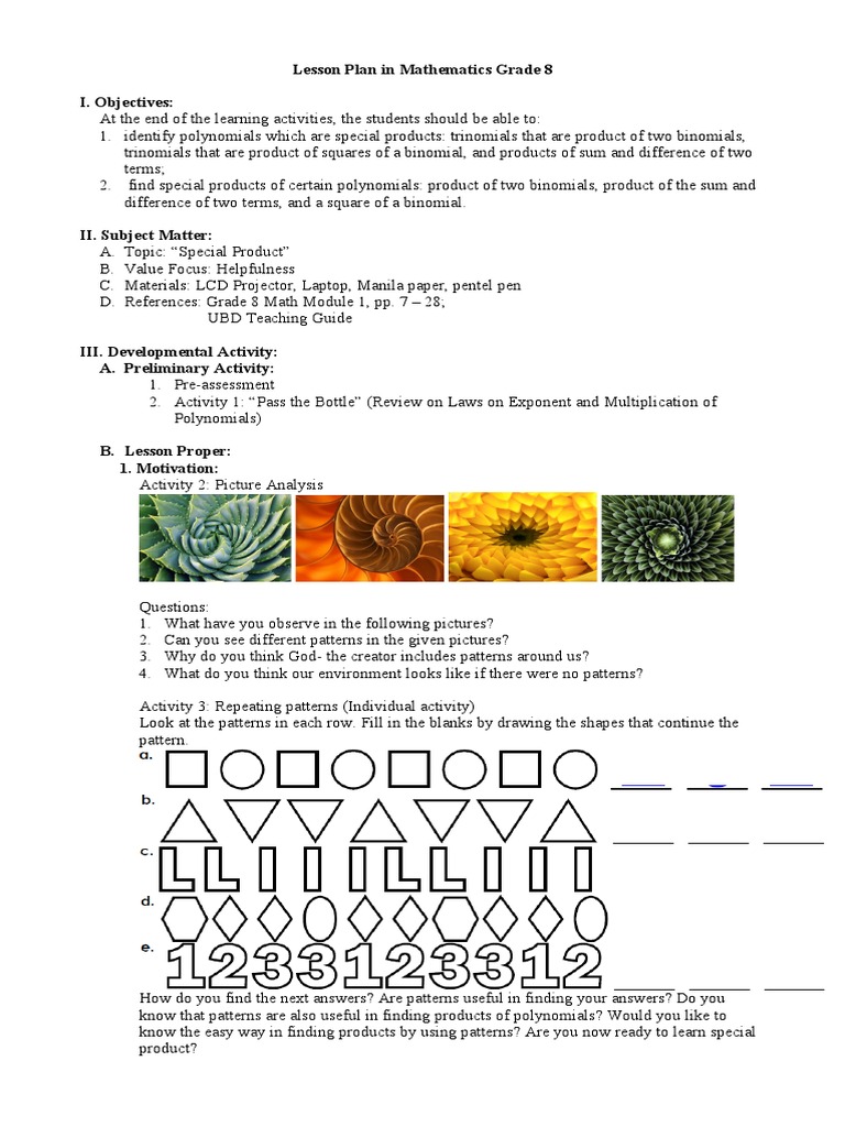 Special Product Lesson Plan | PDF | Teaching | Pedagogy