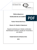 Secado de Alimentos Por Metodos Combinado - Deshidratacion Osmotica - Secado Por Microondas y Aire Caliente