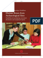 Human Bones 2004
