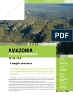 Folleto Amazonia Posible y Sostenible