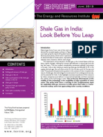 Shale Gas in India: Look Before You Leap: Policy Brief