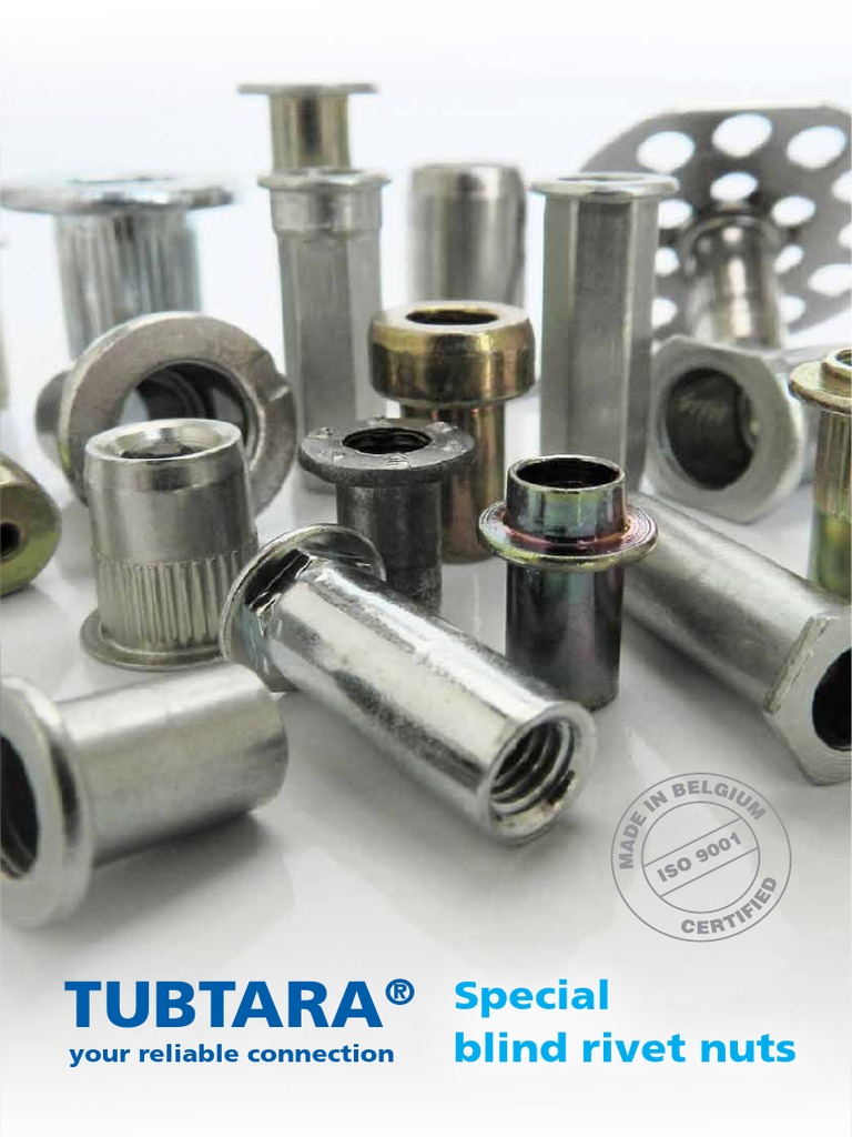 Special Blind Rivet Nuts Stainless Steel Rivet