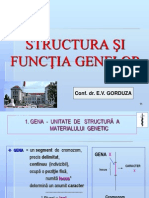 Curs 3 Genetica Structura Si Functia Genei