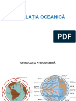 Circulatia Oceanica